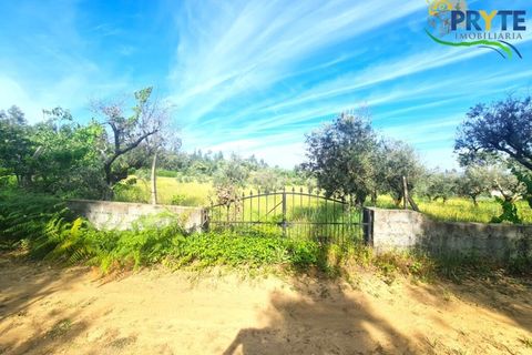 Farm i Serta, Castelo Branco, Serta - € 17.000 | Ref: AS160 - foto 9