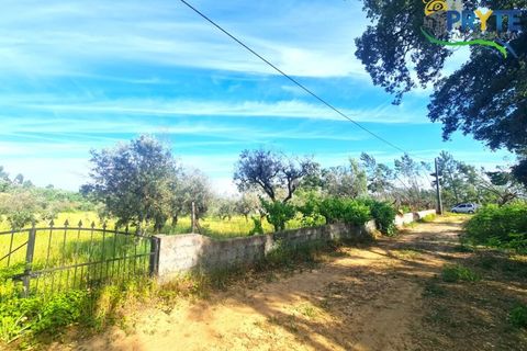 Farm i Serta, Castelo Branco, Serta - € 17.000 | Ref: AS160 - foto 10