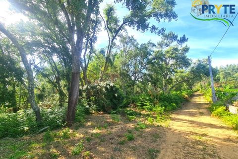 Farm i Serta, Castelo Branco, Serta - € 17.000 | Ref: AS160 - foto 11