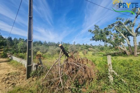 Farm i Serta, Castelo Branco, Serta - € 17.000 | Ref: AS160 - foto 14
