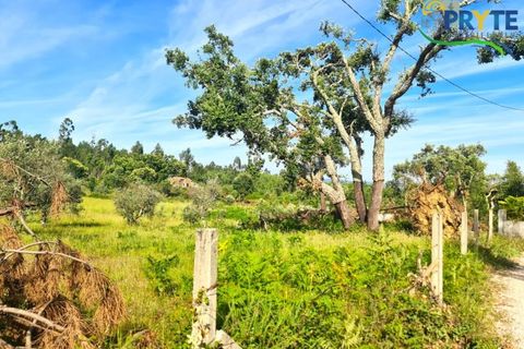 Farm i Serta, Castelo Branco, Serta - € 17.000 | Ref: AS160 - foto 15