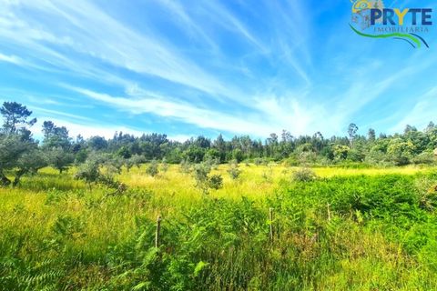 Farm i Serta, Castelo Branco, Serta - € 17.000 | Ref: AS160 - foto 18