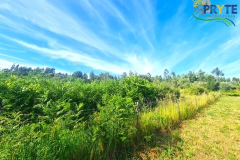 Farm i Serta, Castelo Branco, Serta - € 17.000 | Ref: AS160 - foto 19
