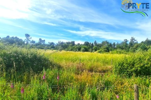 Farm i Serta, Castelo Branco, Serta - € 17.000 | Ref: AS160 - foto 20