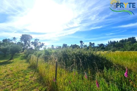 Farm i Serta, Castelo Branco, Serta - € 17.000 | Ref: AS160 - foto 21