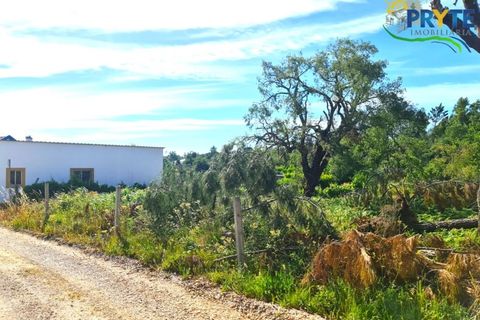 Farm i Serta, Castelo Branco, Serta - € 21.500 | Ref: AS159 - foto 3
