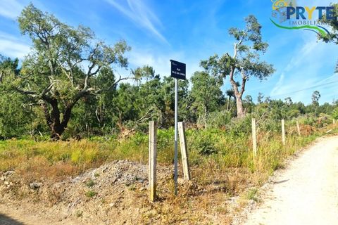 Farm i Serta, Castelo Branco, Serta - € 21.500 | Ref: AS159 - foto 4