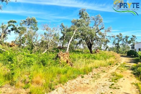 Farm i Serta, Castelo Branco, Serta - € 21.500 | Ref: AS159 - foto 8