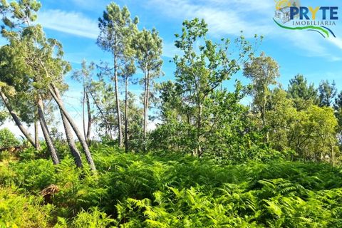Farm i Serta, Castelo Branco, Serta - € 21.500 | Ref: AS159 - foto 21