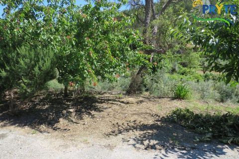 Villa a Troviscal, Castelo Branco, Troviscal - € 275.000 | Ref: AA344 - foto 3
