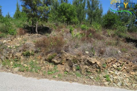 Villa a Troviscal, Castelo Branco, Troviscal - € 275.000 | Ref: AA344 - foto 26