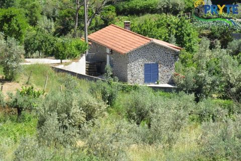 Villa a Troviscal, Castelo Branco, Troviscal - € 275.000 | Ref: AA344 - foto 28