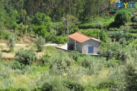 Villa a Troviscal, Castelo Branco, Troviscal - € 275.000 | Ref: AA344 - foto 29