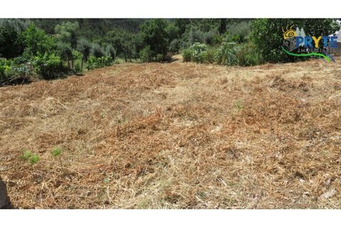Landejendom i Serta, Castelo Branco, Serta - € 30.000 | Ref: AA345 - foto 5