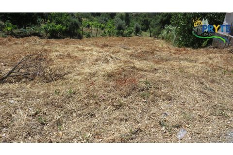 Landejendom i Serta, Castelo Branco, Serta - € 30.000 | Ref: AA345 - foto 6