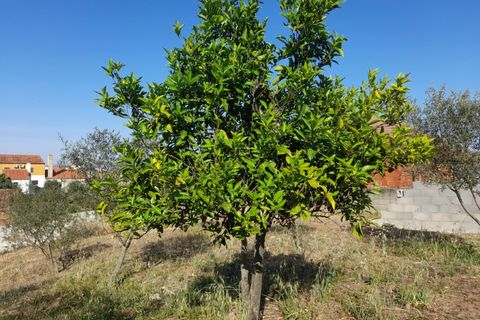 Villa a Alandroal, Evora, Alandroal - € 350.000 | Ref: ALT004/043/2026 - foto 38