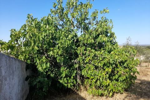Villa a Alandroal, Evora, Alandroal - € 350.000 | Ref: ALT004/043/2026 - foto 39