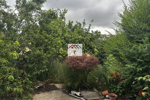 Villa a Penacova, Coimbra, Penacova - € 70.000 | Ref: V990PV - foto 32