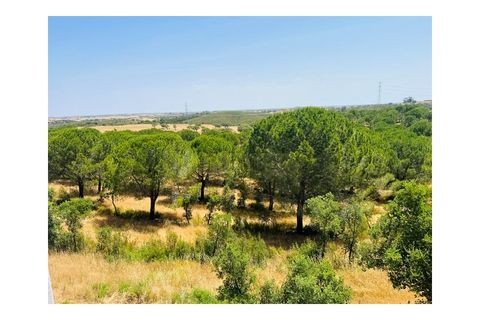 Villa i Ourique, Beja, Ourique - € 1.180.000 | Ref: M49C - foto 29