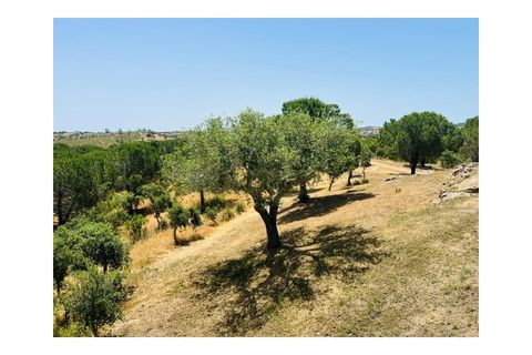 Villa i Ourique, Beja, Ourique - € 1.180.000 | Ref: M49C - foto 30