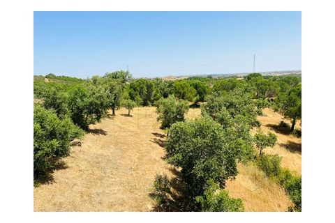 Villa i Ourique, Beja, Ourique - € 1.180.000 | Ref: M49C - foto 31