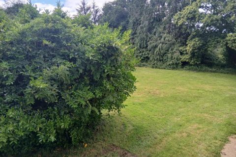 Landejendom i Lignol, Morbihan, Lignol - € 109.940 | Ref: 56075-2502 - foto 18