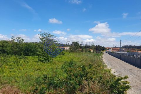 Helårsgrund i Vila do Conde, Porto, Vila do Conde - € 3.100.000 | Ref: 1130661 - foto 5