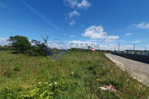 Helårsgrund i Vila do Conde, Porto, Vila do Conde - € 3.100.000 | Ref: 1130661 - foto 6