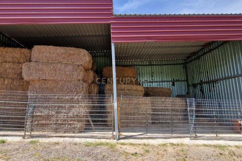 Helårsgrund i Evora, Evora, Evora - € 1.500.000 | Ref: C0500-00210 - foto 13