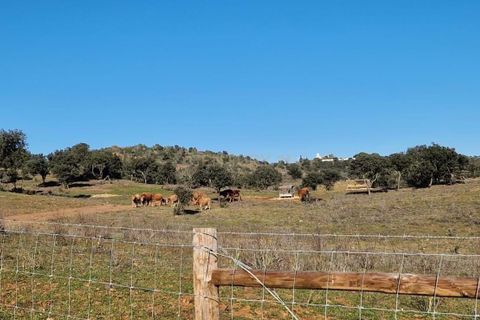 Helårsgrund i Evora, Evora, Evora - € 1.500.000 | Ref: C0500-00210 - foto 18