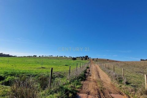 Helårsgrund i Evora, Evora, Evora - € 1.500.000 | Ref: C0500-00210 - foto 22
