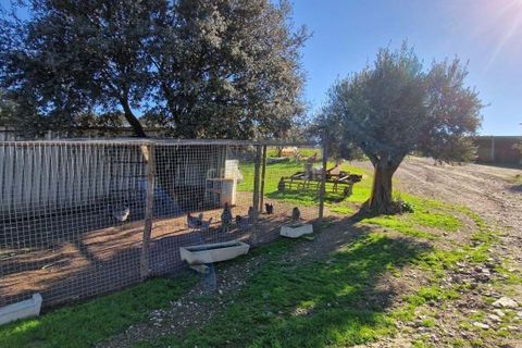 Helårsgrund i Evora, Evora, Evora - € 1.500.000 | Ref: C0500-00210 - foto 23