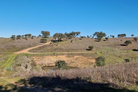 Helårsgrund i Evora, Evora, Evora - € 1.500.000 | Ref: C0500-00210 - foto 24