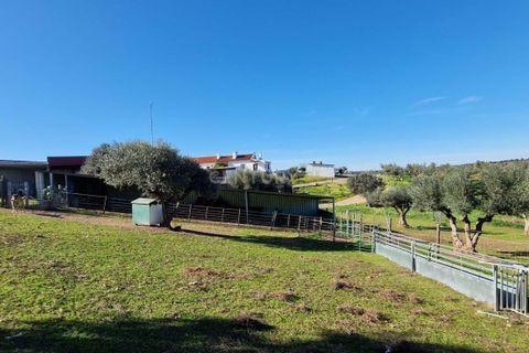 Helårsgrund i Evora, Evora, Evora - € 1.500.000 | Ref: C0500-00210 - foto 28