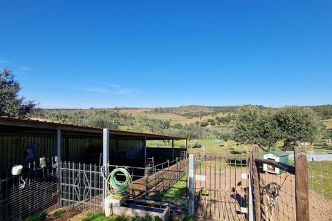 Helårsgrund i Evora, Evora, Evora - € 1.500.000 | Ref: C0500-00210 - foto 30