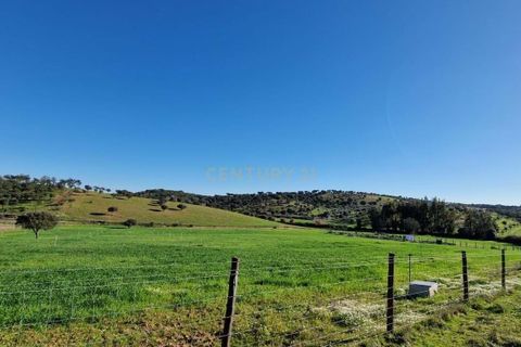Helårsgrund i Evora, Evora, Evora - € 1.500.000 | Ref: C0500-00210 - foto 31