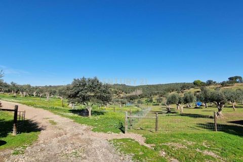 Helårsgrund i Evora, Evora, Evora - € 1.500.000 | Ref: C0500-00210 - foto 32