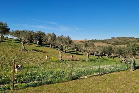 Helårsgrund i Evora, Evora, Evora - € 1.500.000 | Ref: C0500-00210 - foto 33
