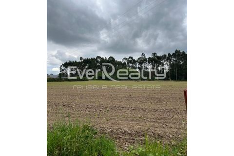 Helårsgrund i Ilhavo, Aveiro, Ilhavo - € 18.000 | Ref: 20260512 - foto 2