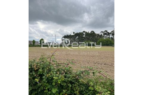 Helårsgrund i Ilhavo, Aveiro, Ilhavo - € 18.000 | Ref: 20260512 - foto 3