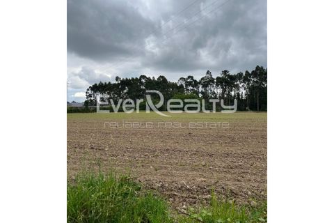 Helårsgrund i Ilhavo, Aveiro, Ilhavo - € 18.000 | Ref: 20260512 - foto 4