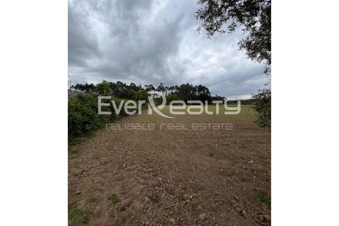 Helårsgrund i Ilhavo, Aveiro, Ilhavo - € 18.000 | Ref: 20260512 - foto 5