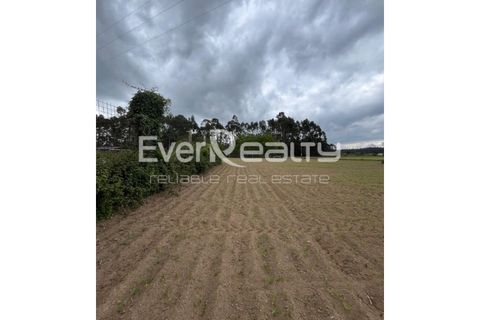 Helårsgrund i Ilhavo, Aveiro, Ilhavo - € 18.000 | Ref: 20260512 - foto 7