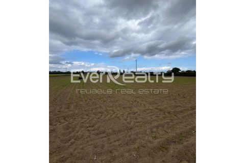 Helårsgrund i Ilhavo, Aveiro, Ilhavo - € 18.000 | Ref: 20260512 - foto 8