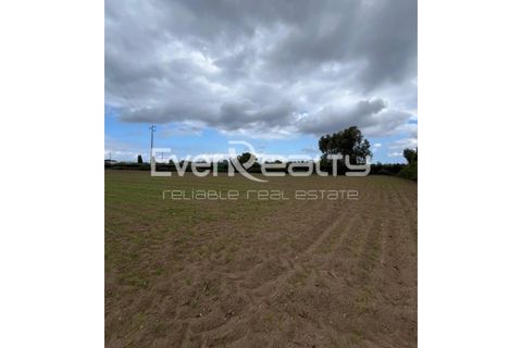 Helårsgrund i Ilhavo, Aveiro, Ilhavo - € 18.000 | Ref: 20260512 - foto 9