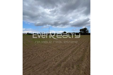 Helårsgrund i Ilhavo, Aveiro, Ilhavo - € 18.000 | Ref: 20260512 - foto 10