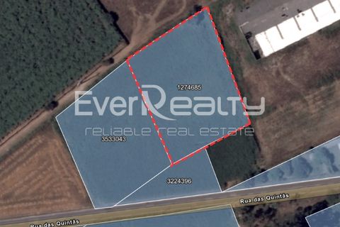 Helårsgrund i Ilhavo, Aveiro, Ilhavo - € 18.000 | Ref: 20260512 - foto 11