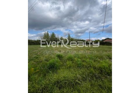 Helårsgrund i Ilhavo, Aveiro, Ilhavo - € 18.000 | Ref: 20260511 - foto 3