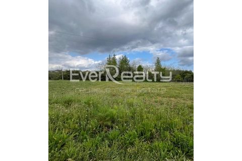 Helårsgrund i Ilhavo, Aveiro, Ilhavo - € 18.000 | Ref: 20260511 - foto 4