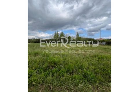 Helårsgrund i Ilhavo, Aveiro, Ilhavo - € 18.000 | Ref: 20260511 - foto 5